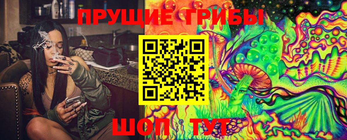 Галлюциногенные грибы Psilocybe Красноярск
